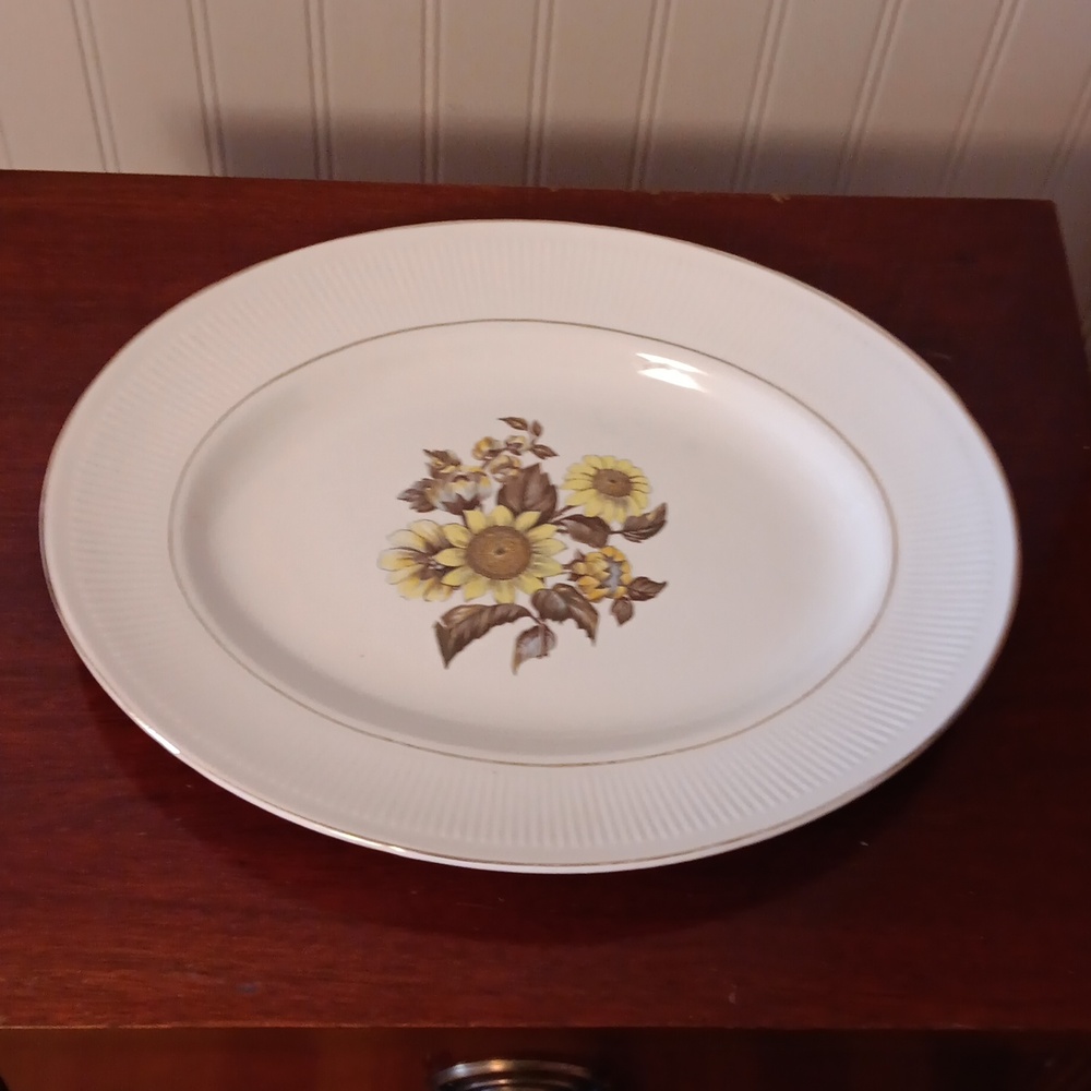 Vintage Royal Warwick platter